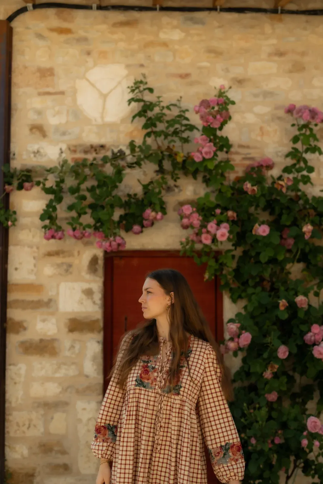 Mur de roses